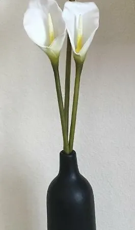 Apartment Ferienwohnung Franken